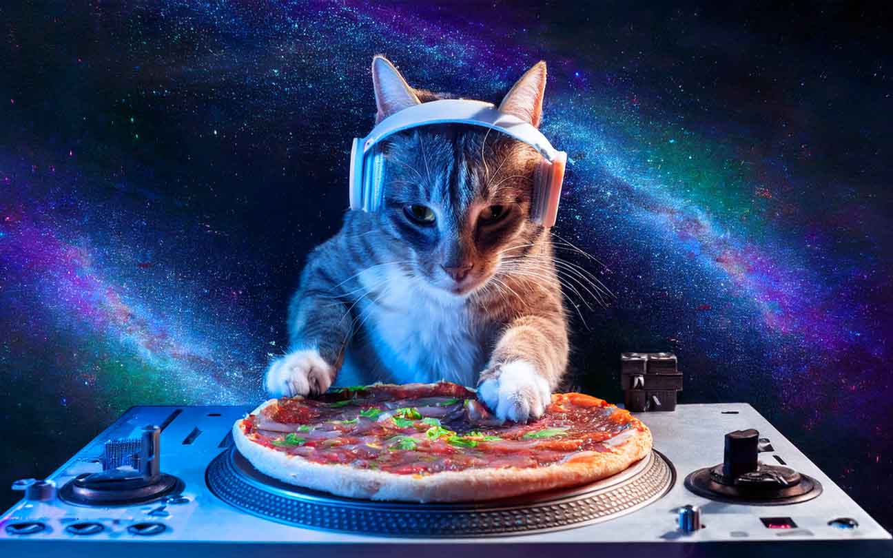 Der KI-Pizza-Benchmark: Wer backt am besten für 503?